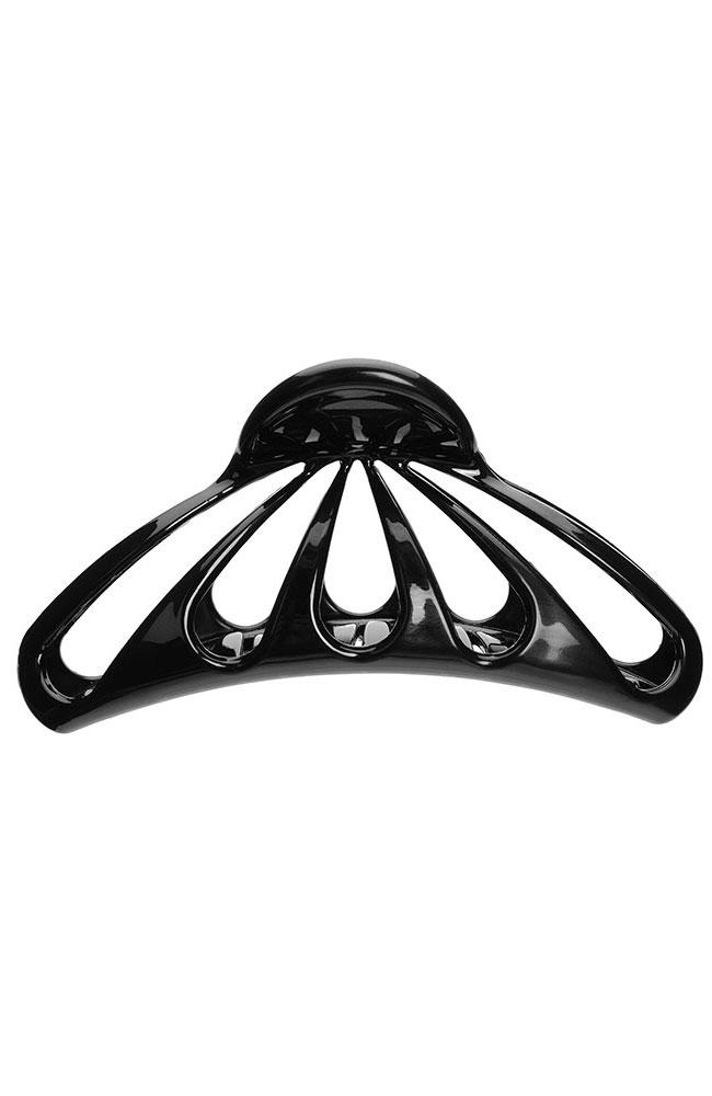 Large Nautilus Jaw