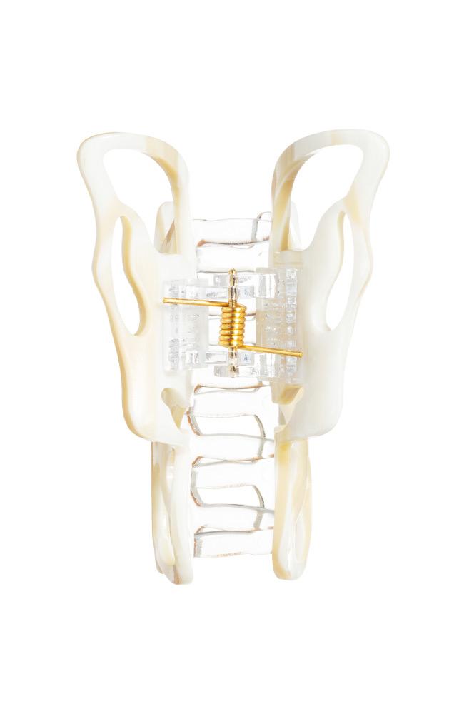 Papillon Jaw - Classics