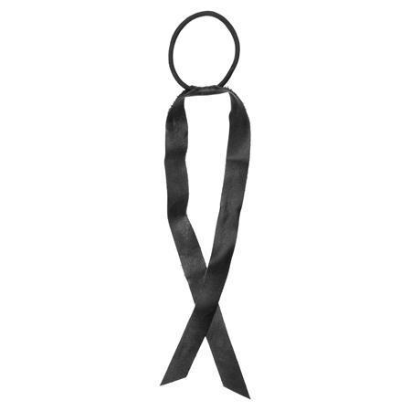 Leather Ribbon Pony
